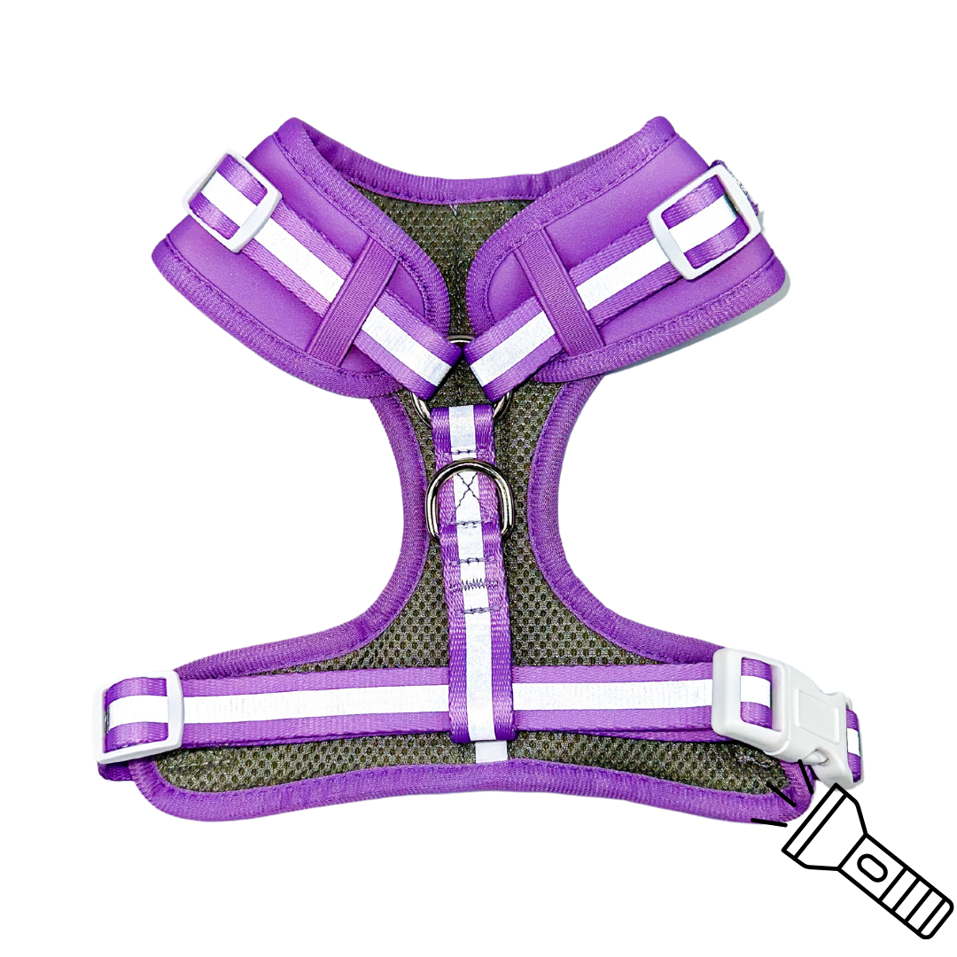 Pet Harness Harness Shine Bright Amethyst Adjustable Essenti - gallery product image for pet harness