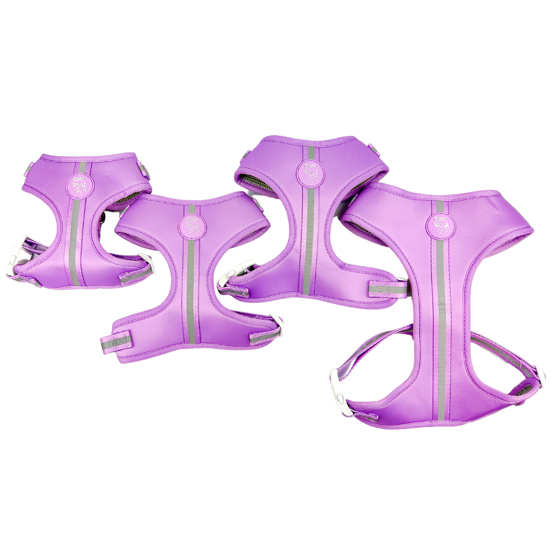 Pet Harness Harness Shine Bright Amethyst Adjustable Essenti - close up product image for pet harness