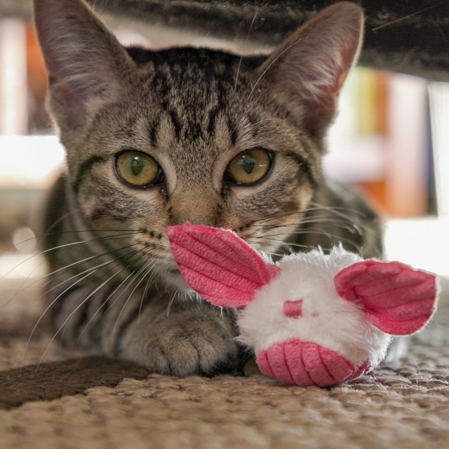 Cat Toy HuggleKats Dust Bunnies Toys Pack for Daily Use main product image for dogs and cats