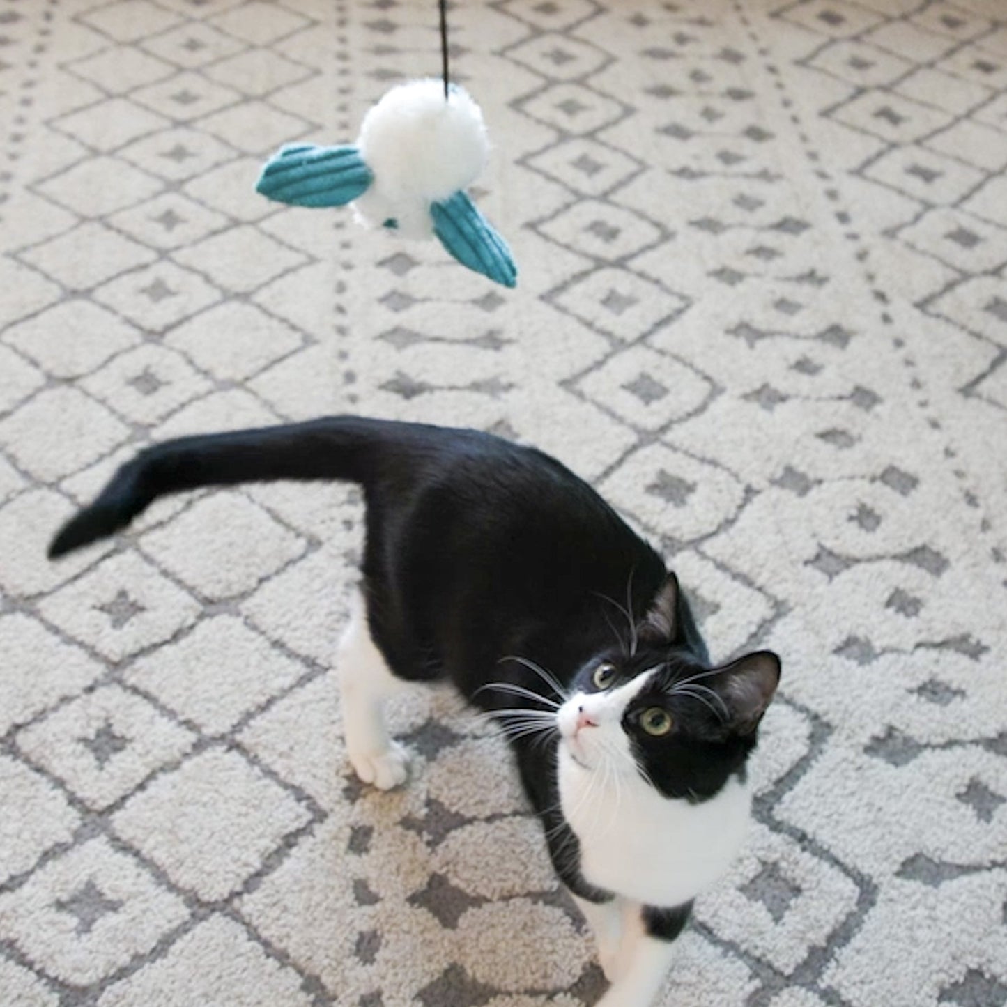 Cat Toy HuggleKats Dust Bunnies Toys Pack for Daily Use main product image for dogs and cats