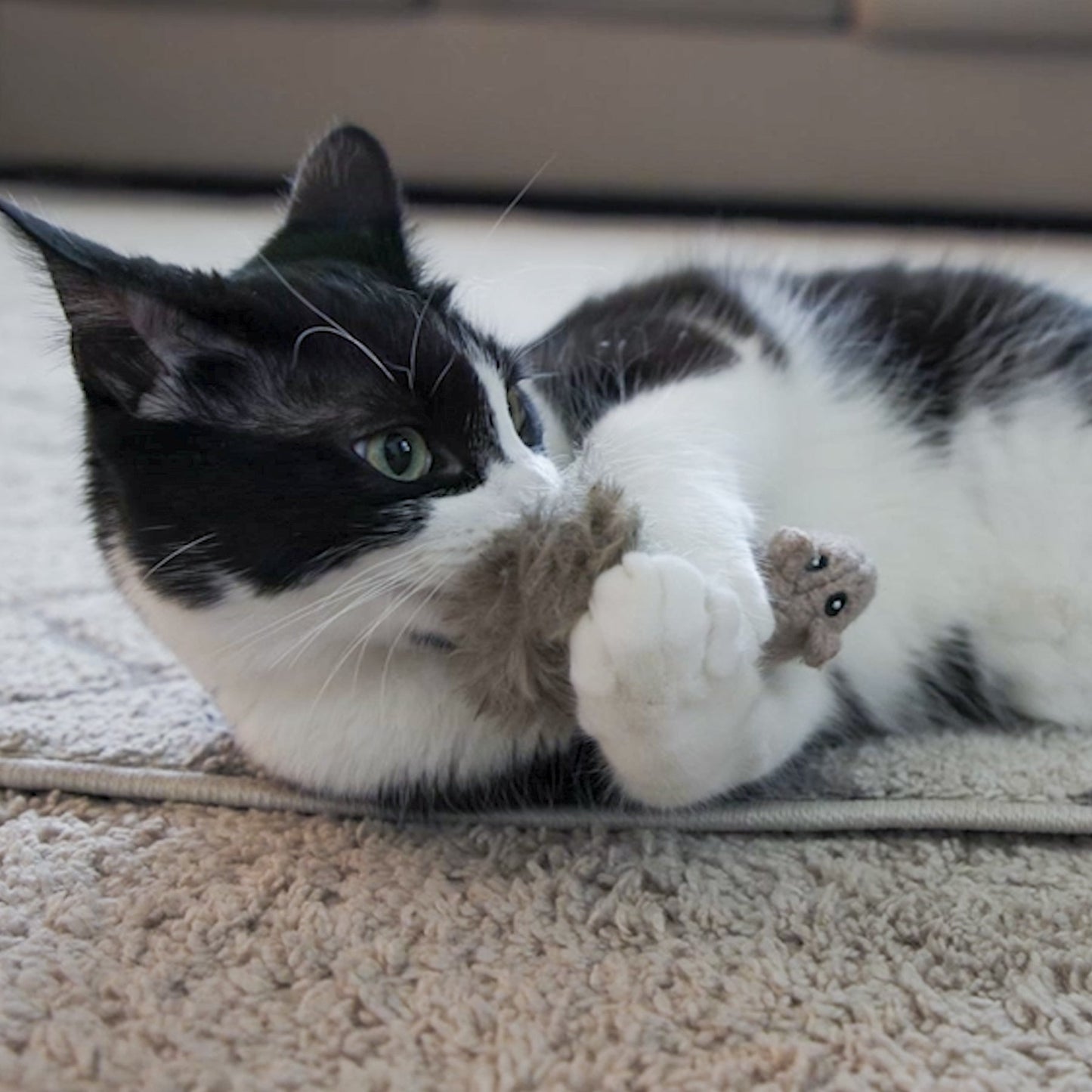 Cat Toy HuggleKats Wee Fellar Squirrelie Toy for Daily Use main product image for dogs and cats