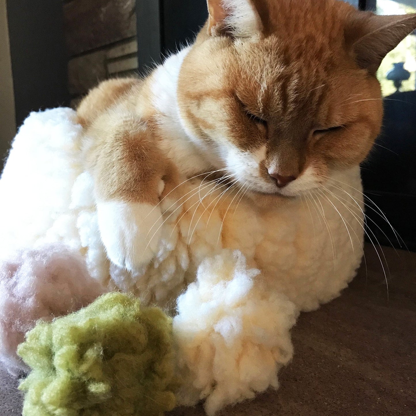 Cat Toy HuggleKats FlufferFleece Ballies Plush Toys Pack main product image for dogs and cats