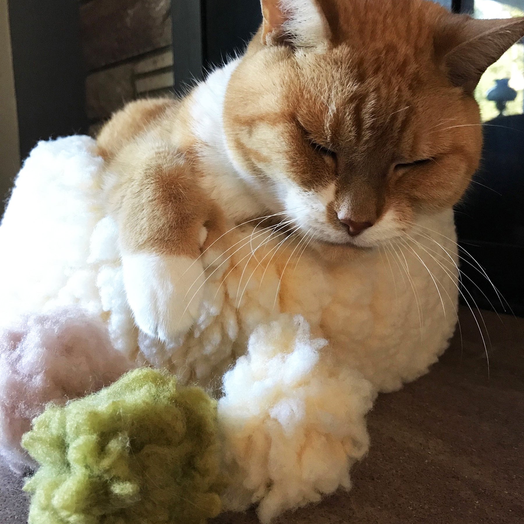 Cat Toy HuggleKats FlufferFleece Ballies Plush Toys Pack main product image for dogs and cats