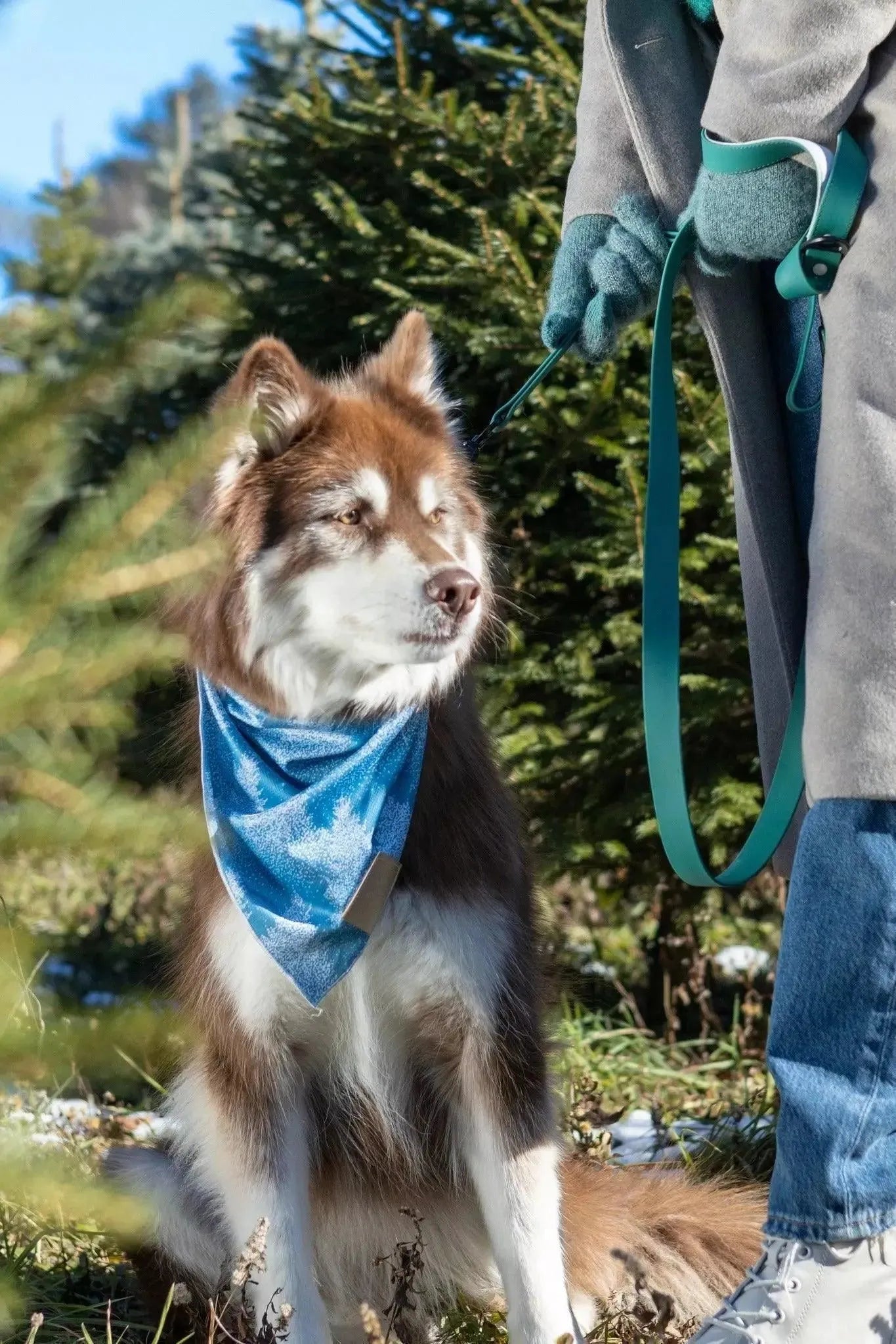 Siberian Spruce Dog Bandana Matching Keychain Dog Bandanas - gallery image 5