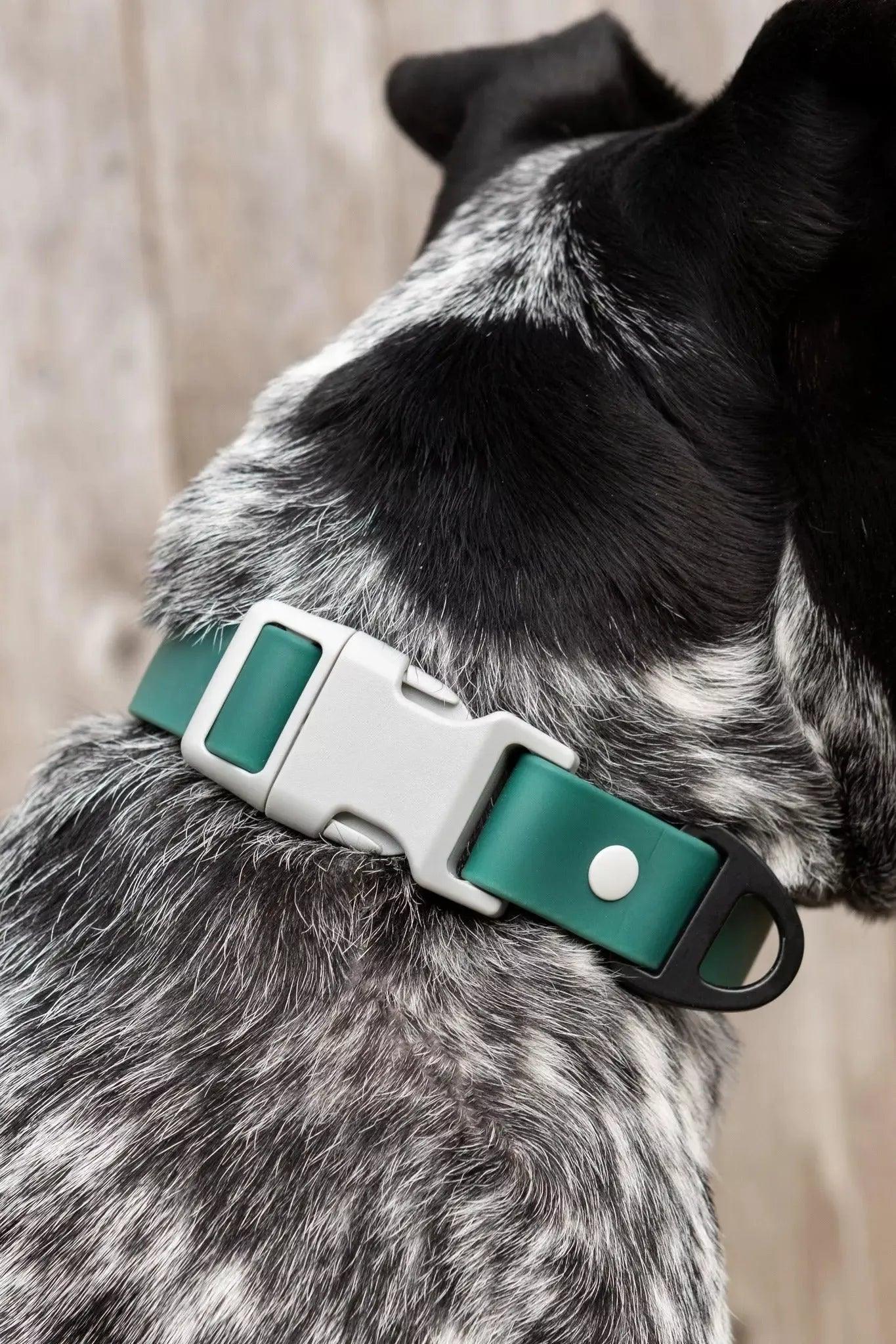Siberian Spruce Waterproof Dog Collar Adjustable Dog Walking - detail view