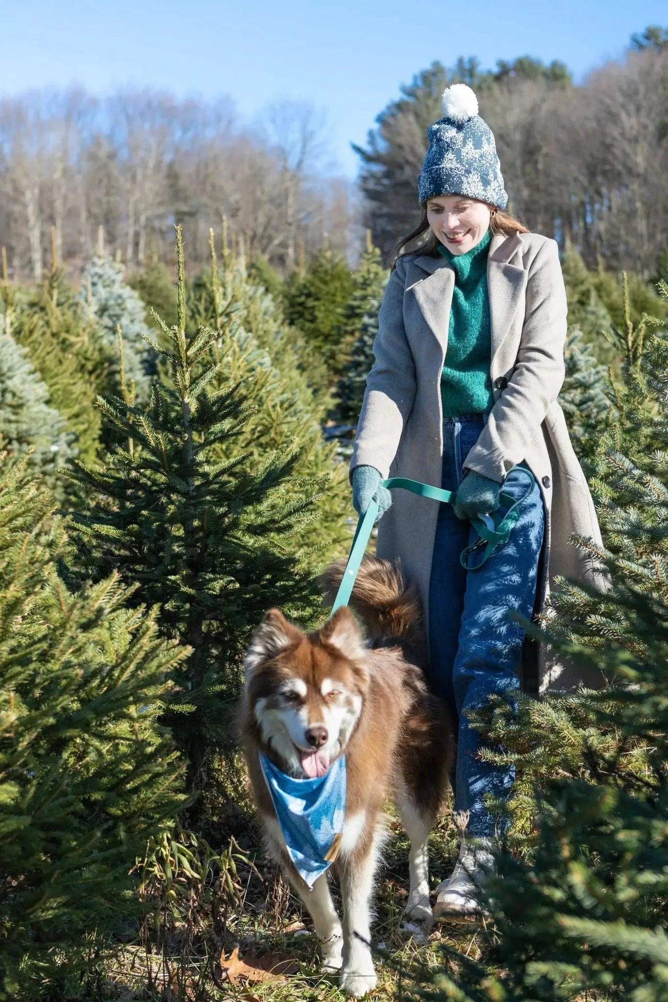 Siberian Spruce Waterproof Dog Leash Adjustable Dog Walking - close up view