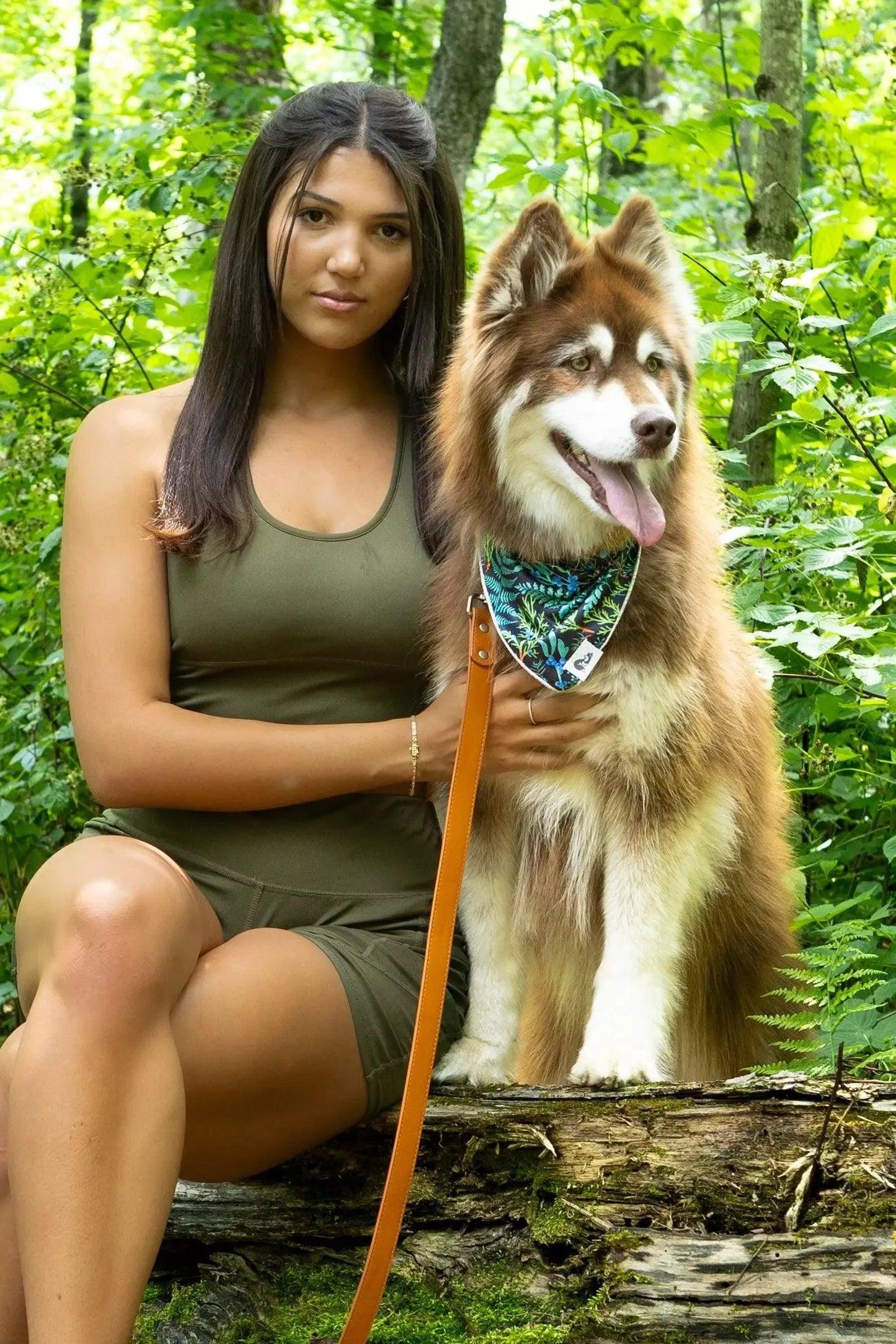 Sierra Sunrise Vegan Leather Dog Collar Adjustable Dog Gear - lifestyle view