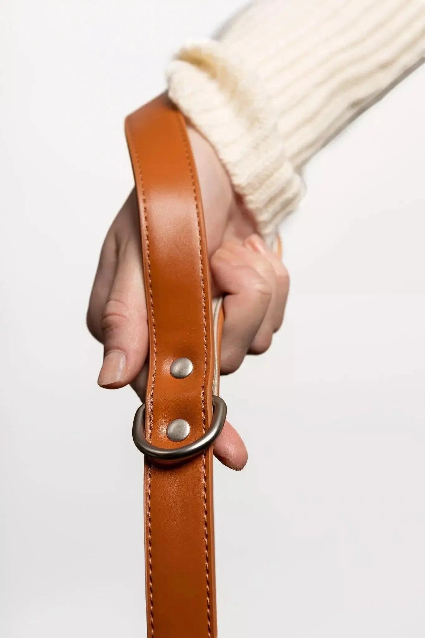 Sierra Sunrise Vegan Leather Dog Leash Adjustable Dog Gear - lifestyle view