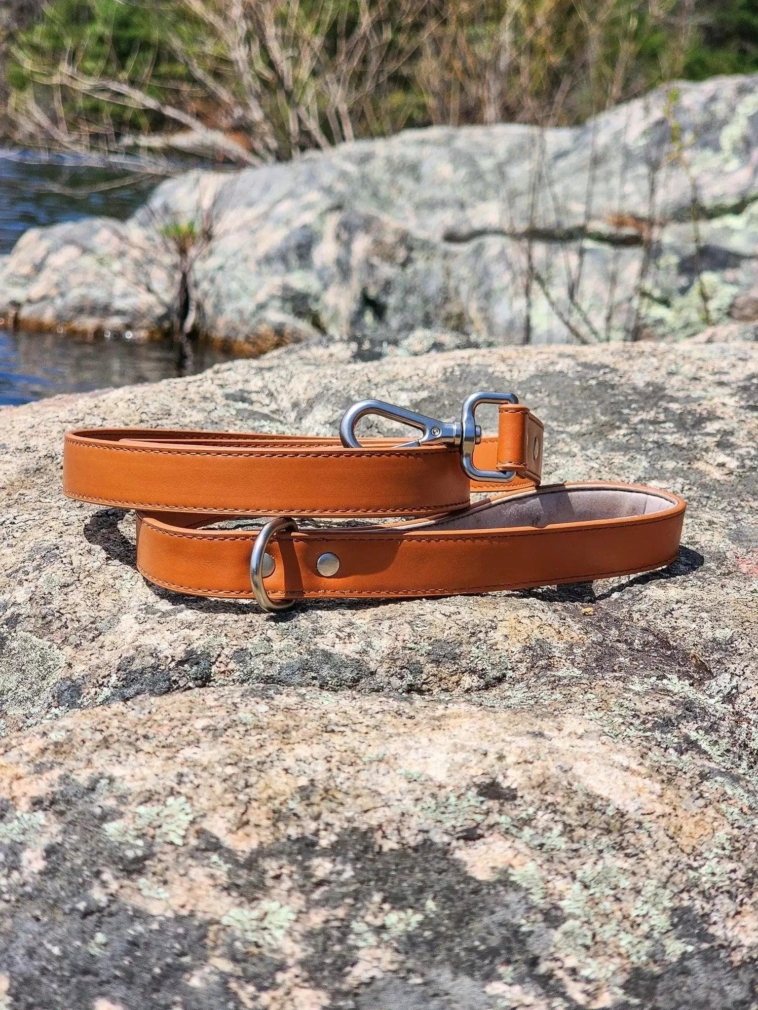 Sierra Sunrise Vegan Leather Dog Leash Adjustable Dog Gear - close up view