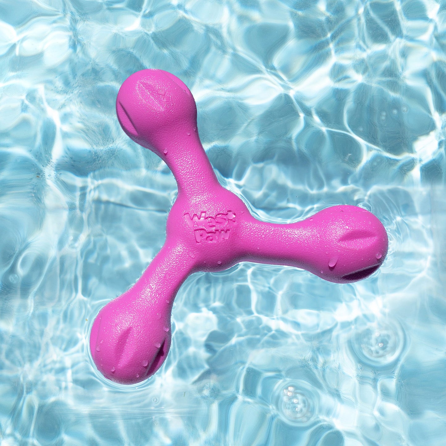 Skamp Interactive Dog Toy Durable Play Premium - lifestyle view