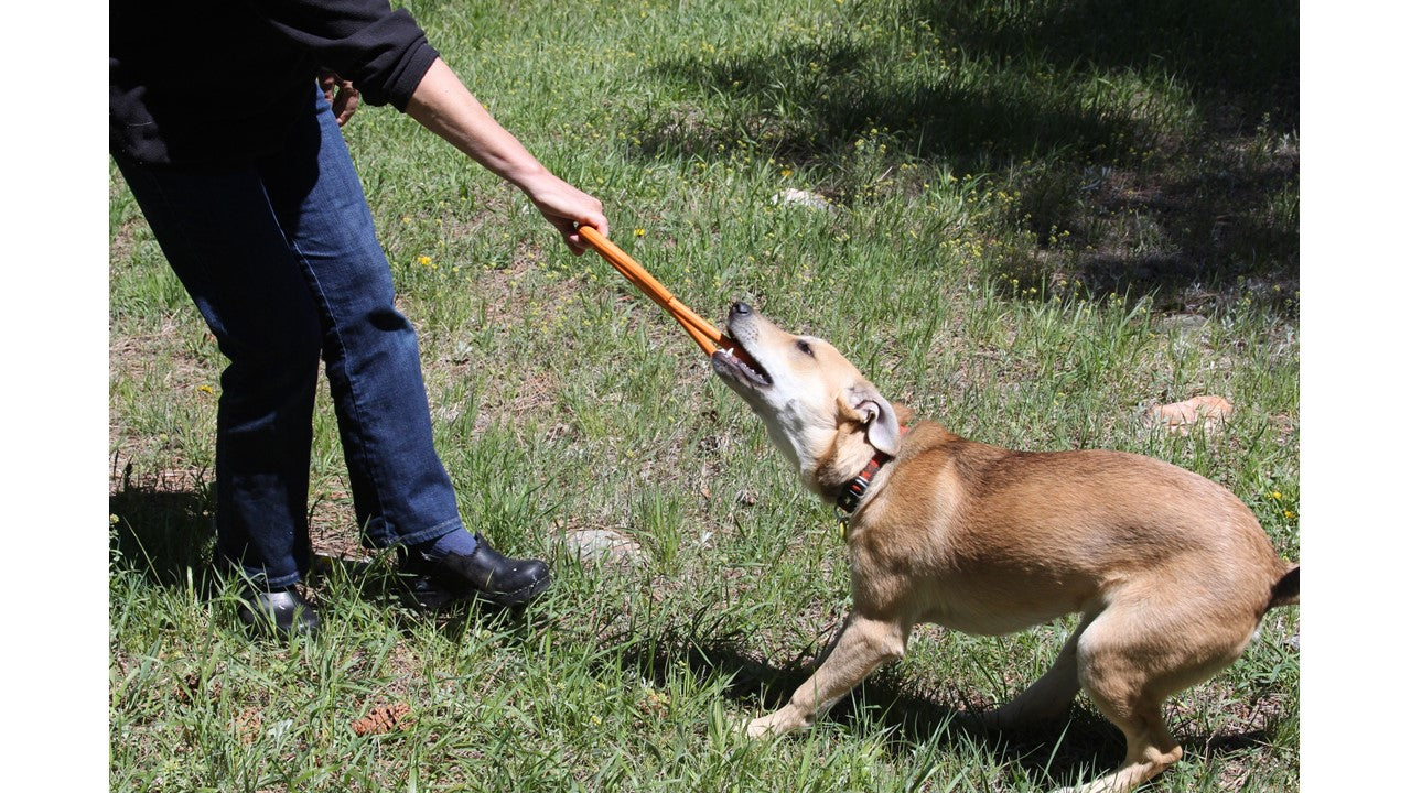 Pop Top Rubber Tug Toy For Interactive Play Heavy Chewers - gallery image 7
