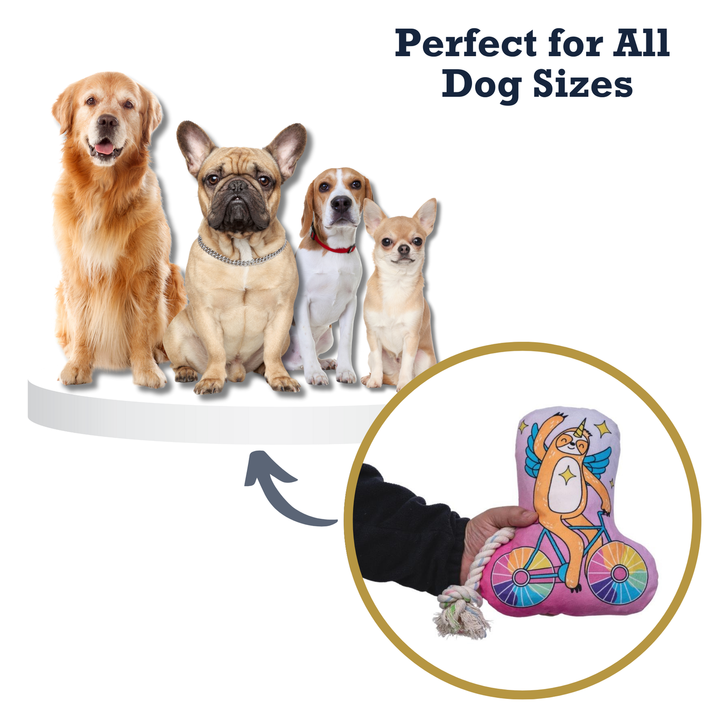 Dog Treats Slow Biker Plush Toy with Squeaker Crinkle Paper - size and texture image for dog treats