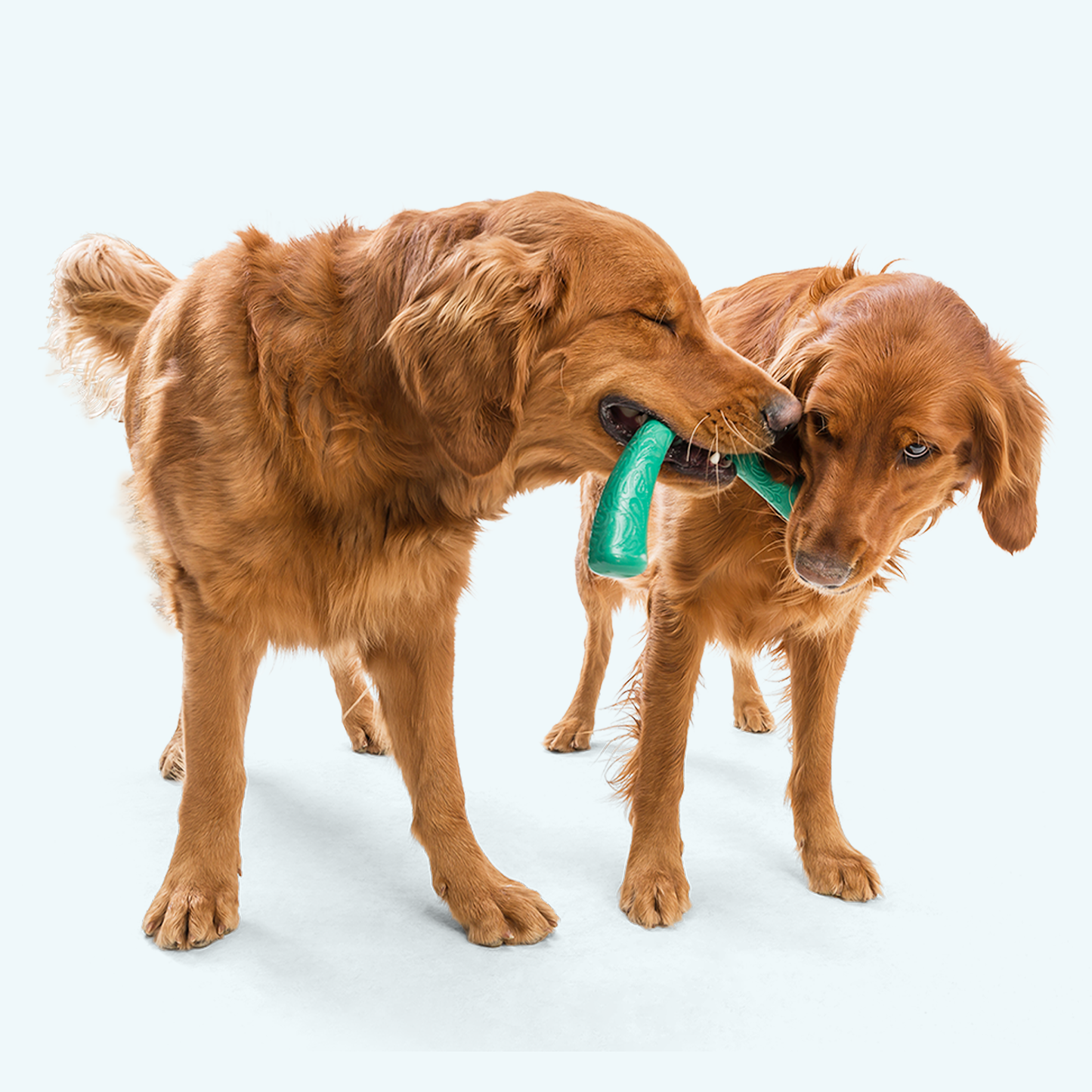 Snorkl Interactive Dog Toy Durable Play Premium - close up view