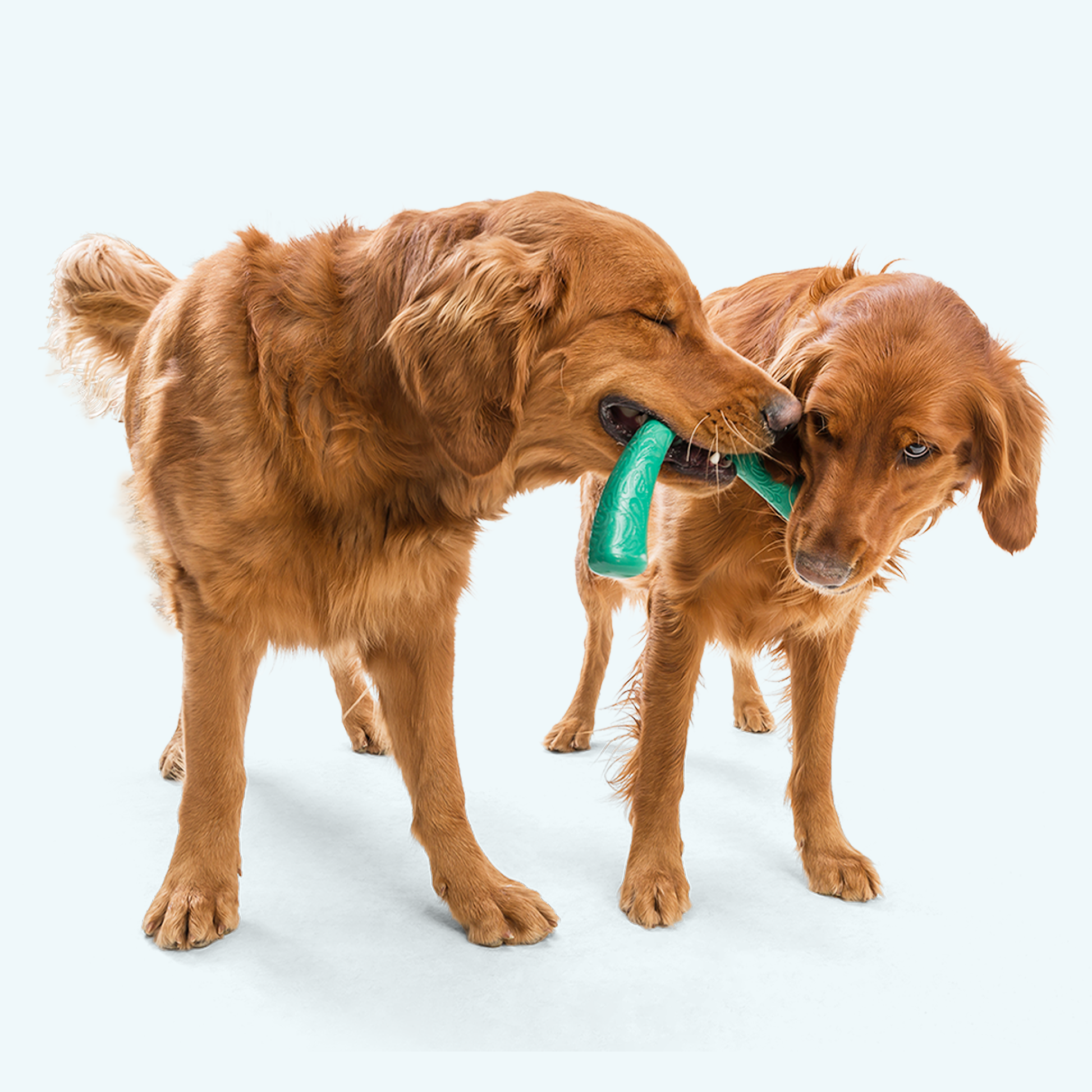 Snorkl Interactive Dog Toy Durable Play Premium - close up view