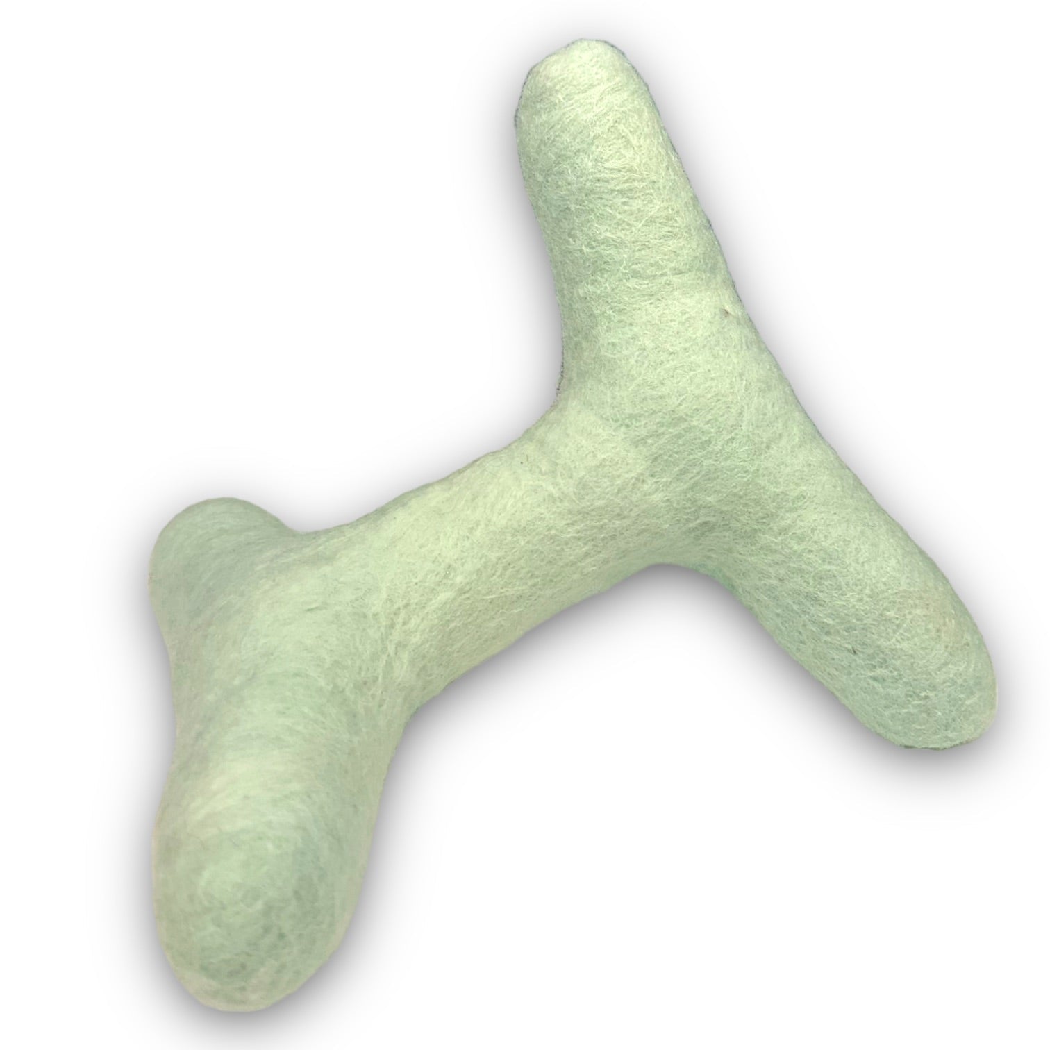 Strand Felt Dog Toy - lifestyle view