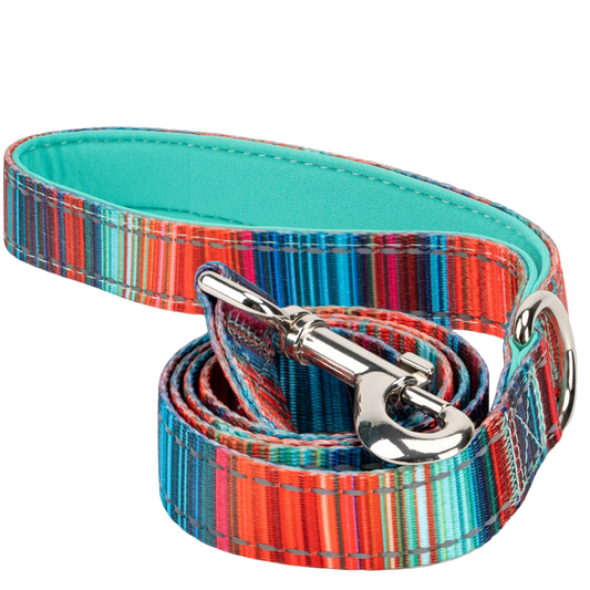 Dog Treats Stripe Leash by EcoBark Multicolor Padded Comfort - main product image for dog treats