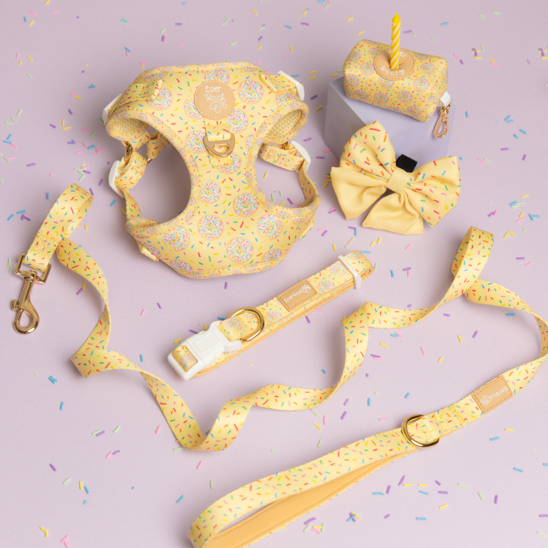 Pet Leash Leash Ever So Sweet Leash for for Daily Use Essent - lifestyle product image for pet leash