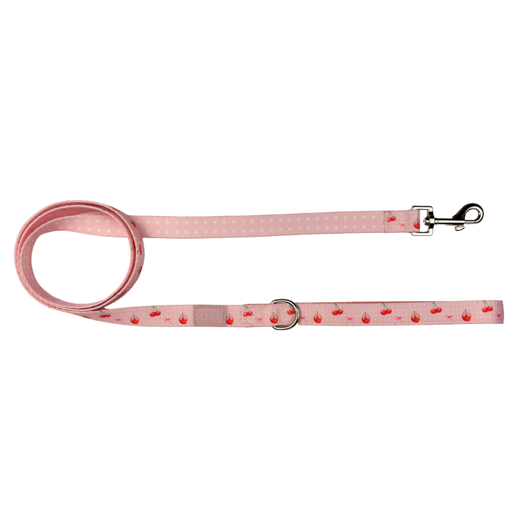 Pet Leash Sweet Chrie Leash for Daily Use for Comfort Essent - main product image for pet leash
