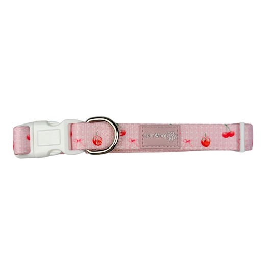 Pet Collar Sweet Chrie Collar for Daily Use for Comfort - main product image for pet collar