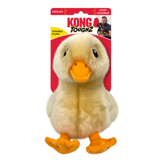 KONG Toughz Duck Interactive Dog Toy Durable Play - main product image