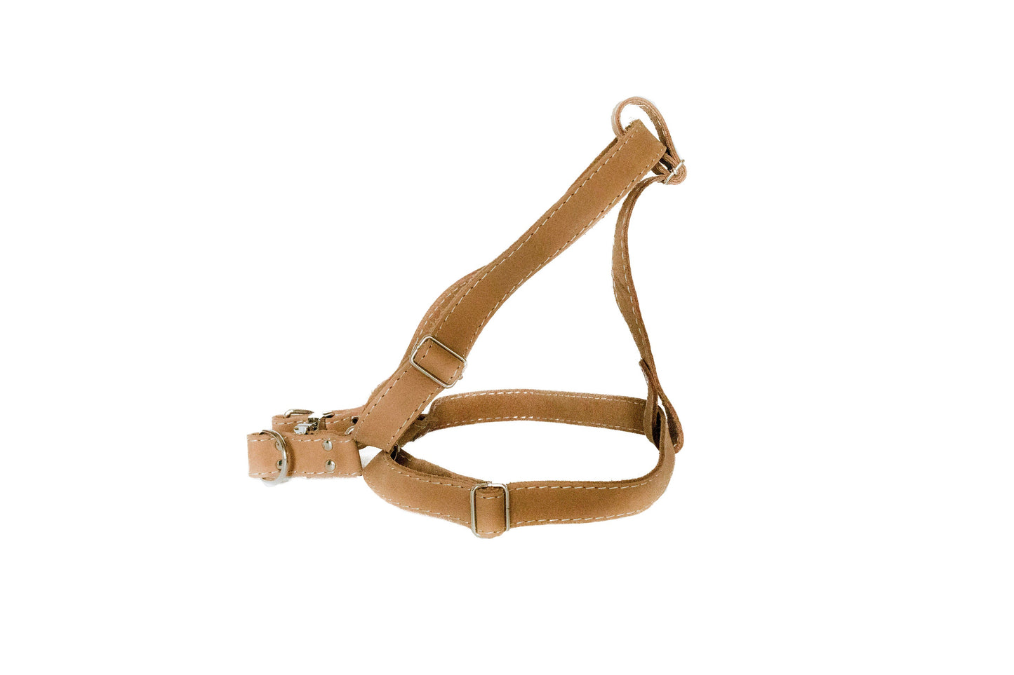 Dog Collar Step In Leather Harness for Daily Use for Comfort - close up product image for dog collar