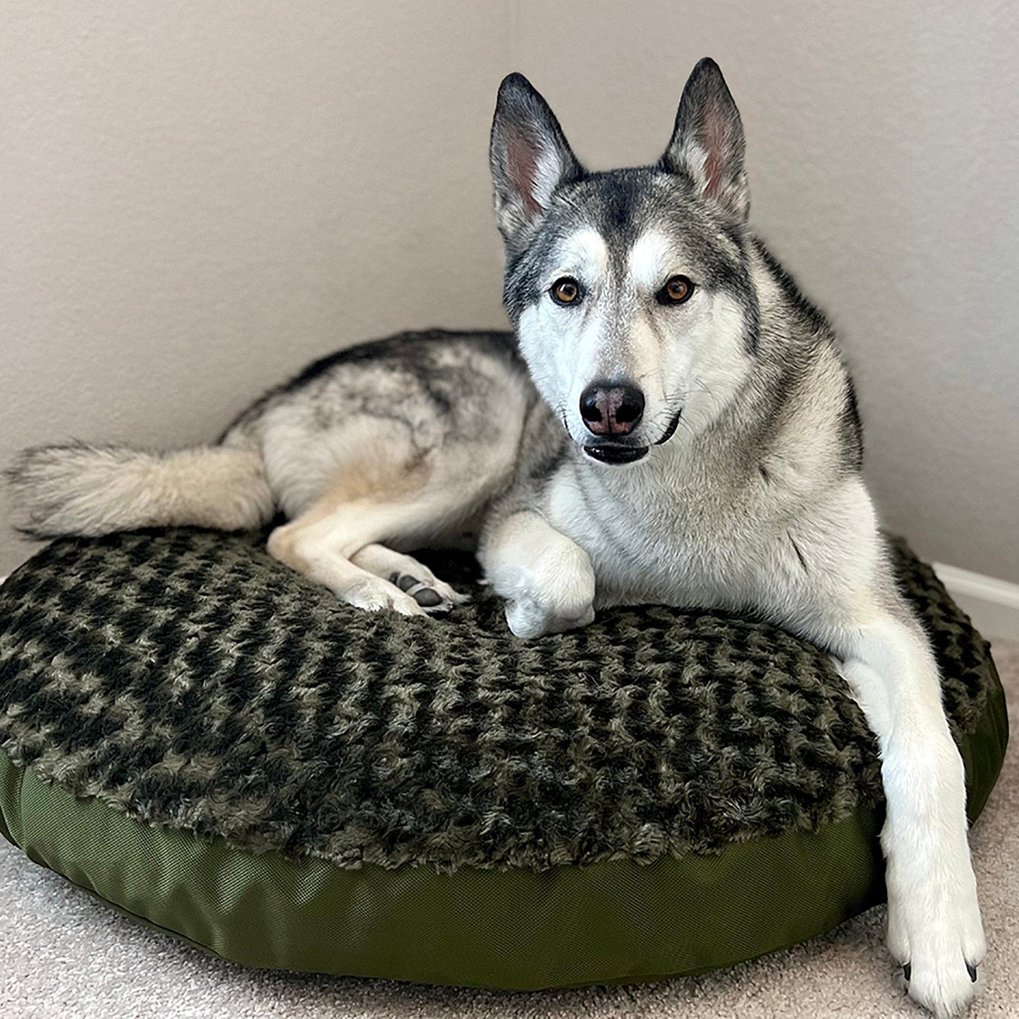 Dog Bed Round Furvana Washable Pet Bed Comfort Premium - main product image
