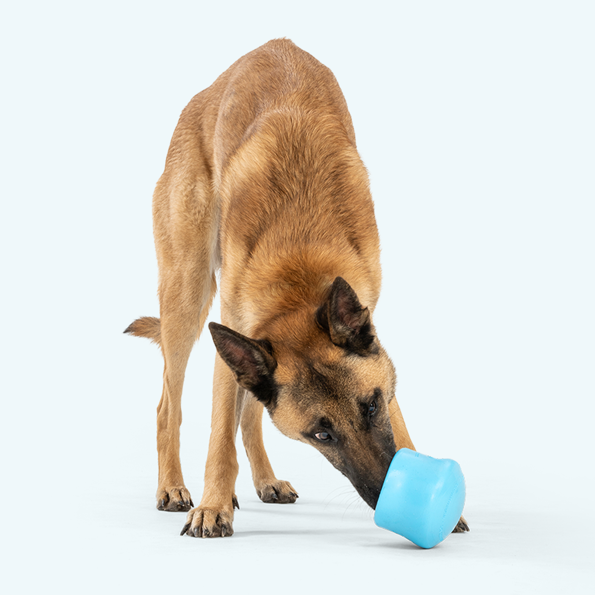Toppl Interactive Dog Toy Durable Play Premium - gallery image 5