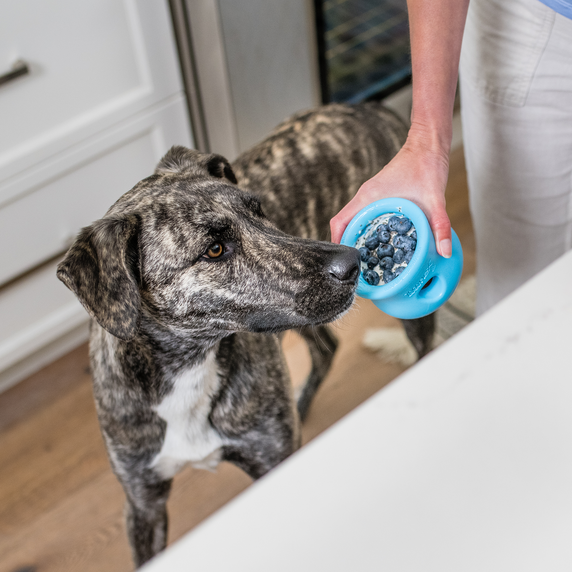Toppl Interactive Dog Toy Durable Play Premium - gallery image 6