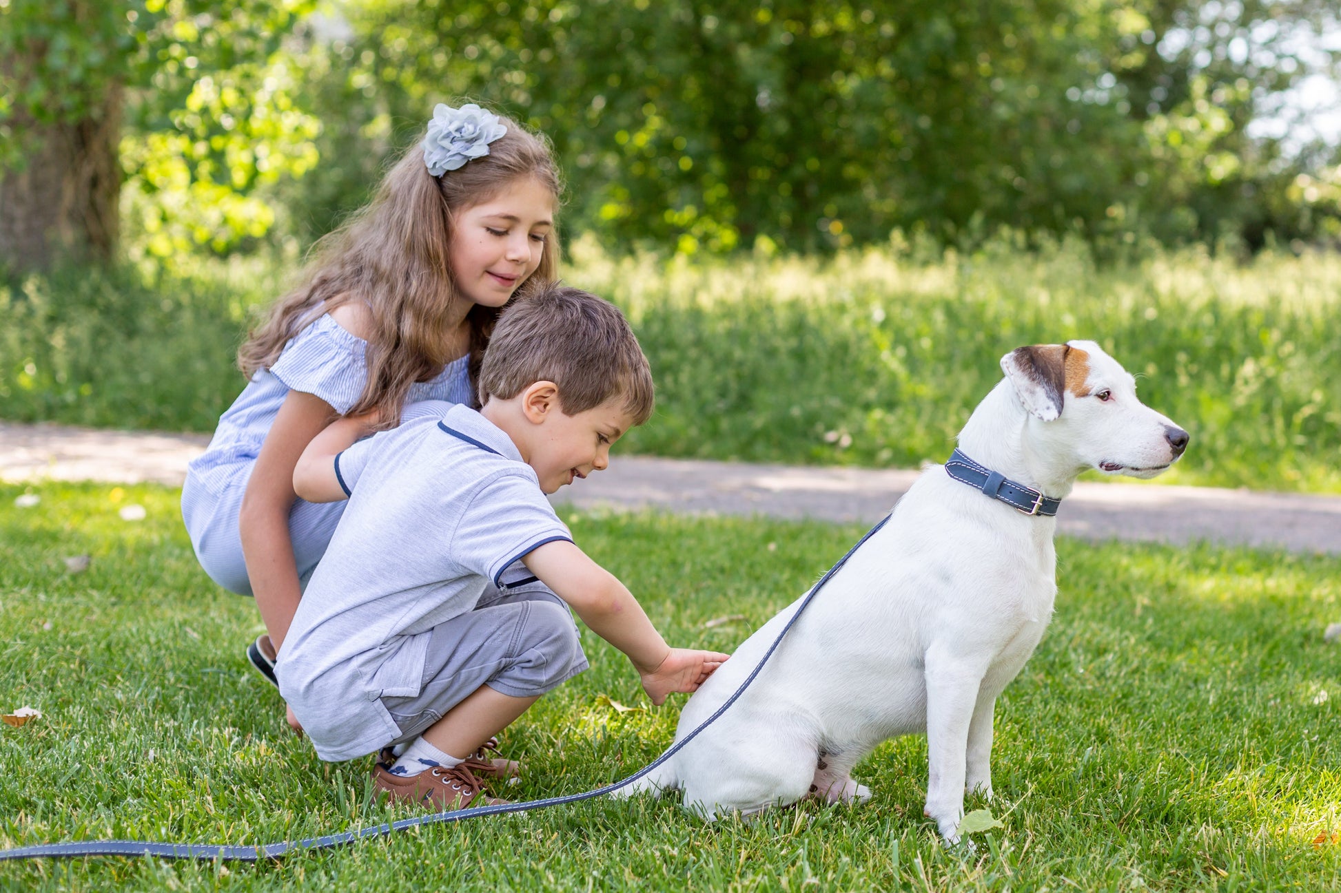 Dog Collar Pro Line Hunting Leather Collar and Leash Set - gallery product image for dog collar