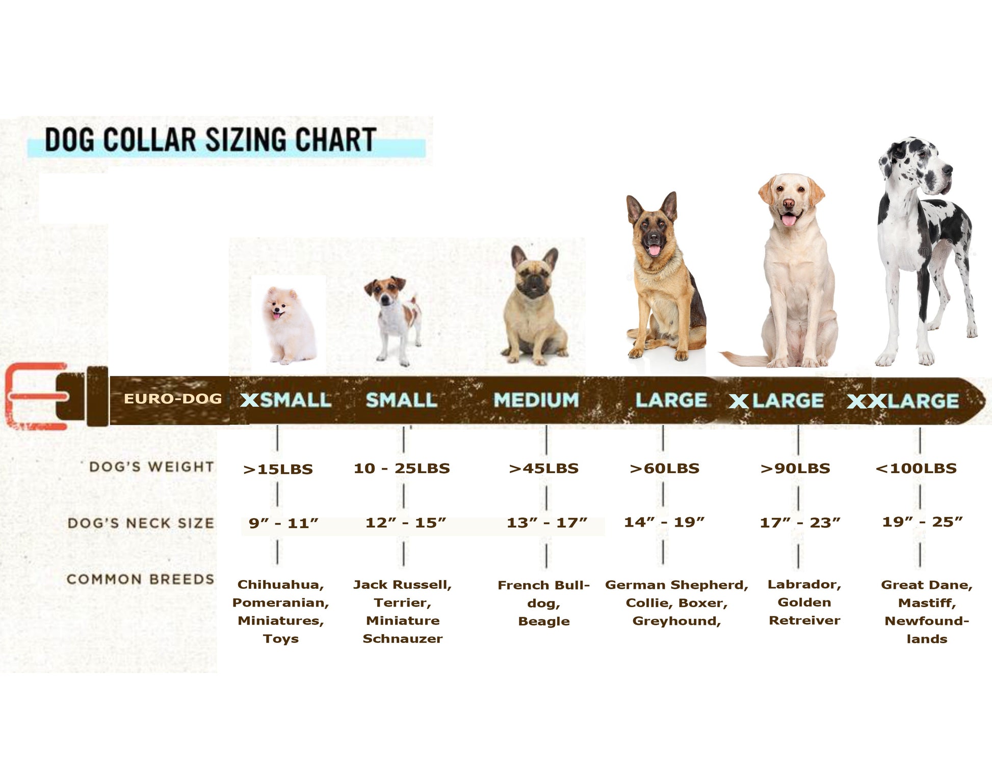 Dog Collar Pro Line Hunting Leather Collar and Leash Set - gallery product image for dog collar
