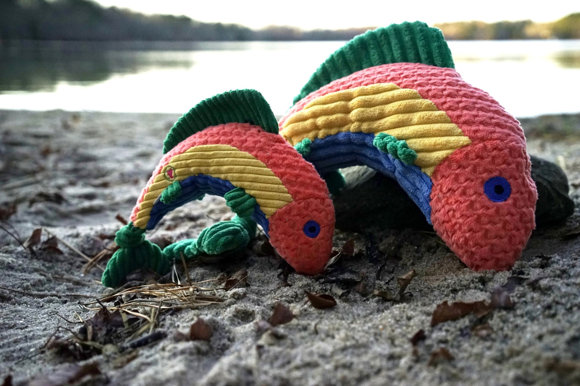 Dog Toy Raucous Rainbow Trout Knottie Plush Toy for Comfort main product image for dogs and cats