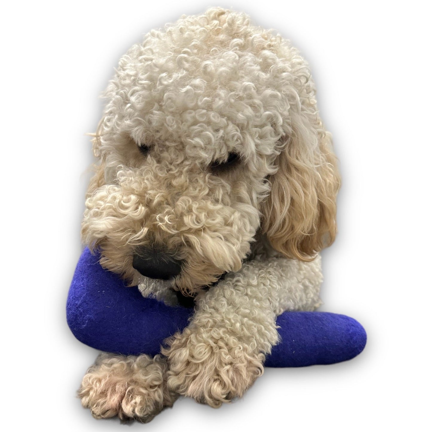 Tube Felt Dog Toy - gallery image 5