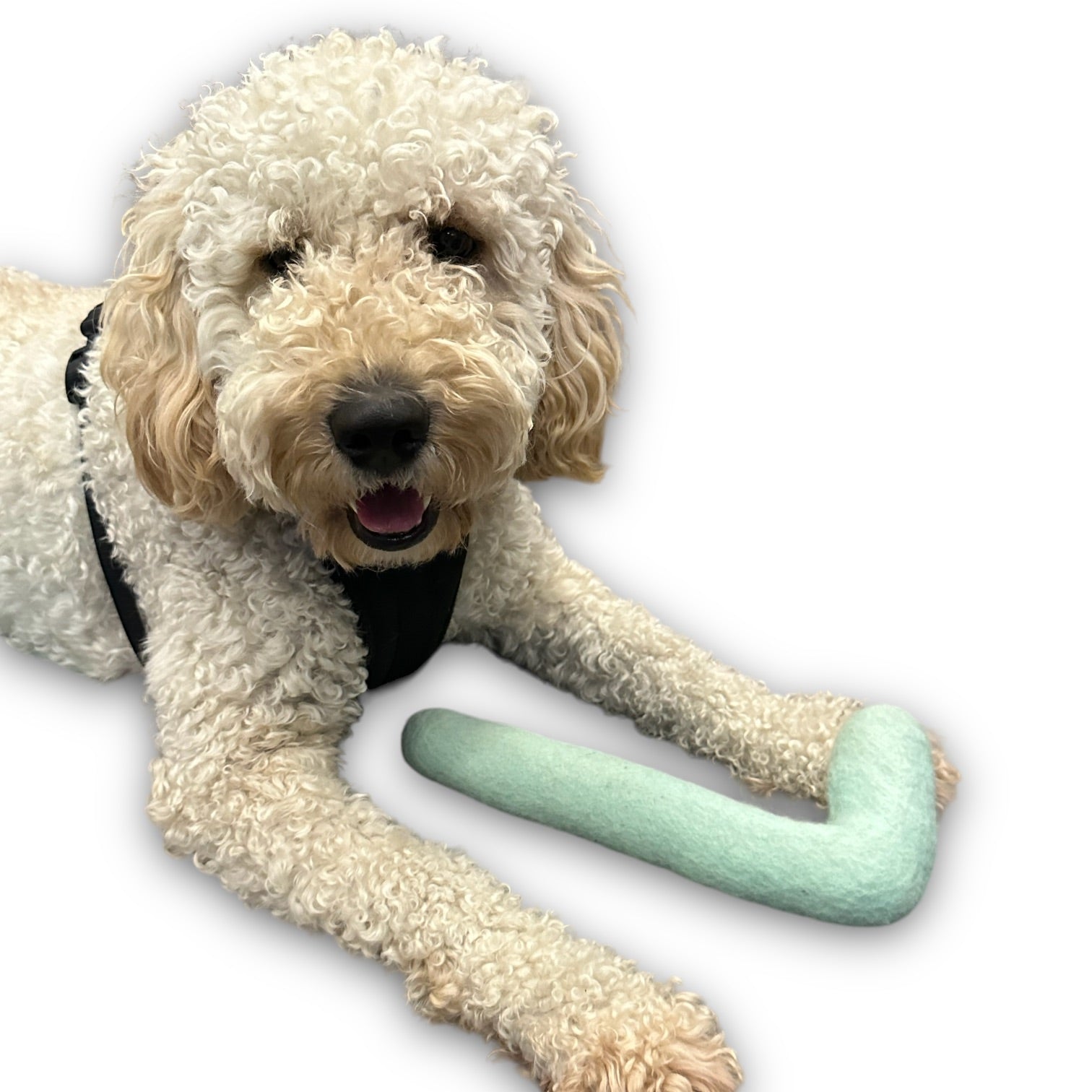 Tube Felt Dog Toy - gallery image 6