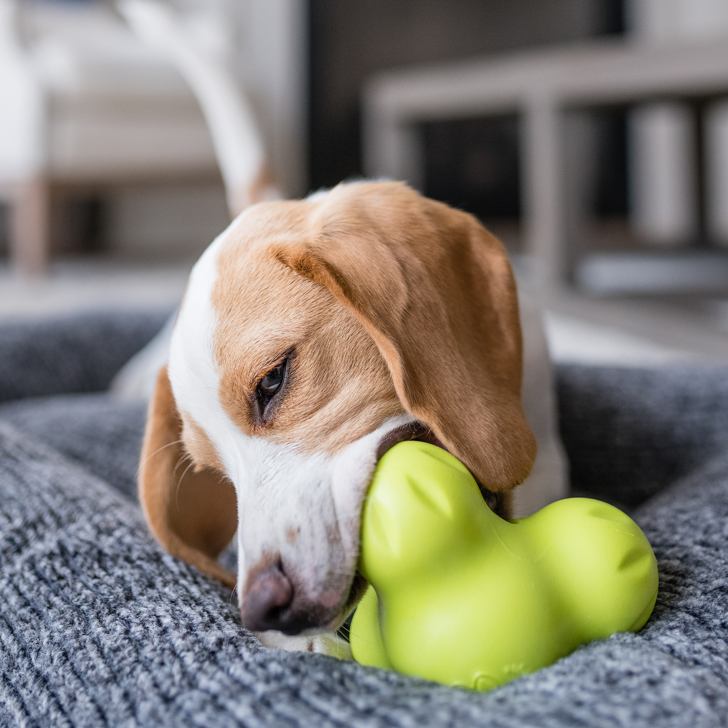 Tux Interactive Dog Toy Durable Play Premium Premium Pet Supply - gallery image 7
