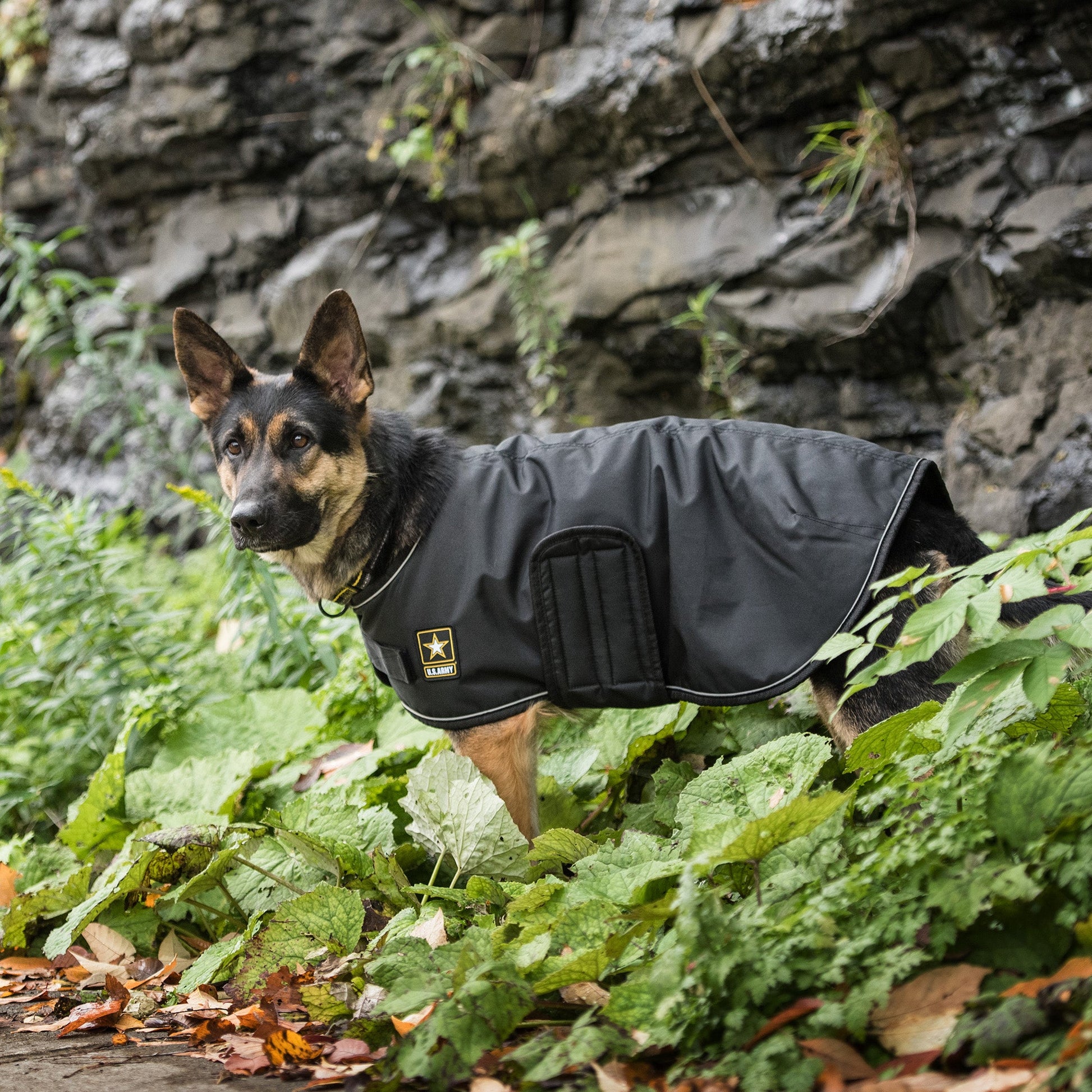 Us Army Dog Blanket Jacket Black Dog Jackets Premium Pet - lifestyle view