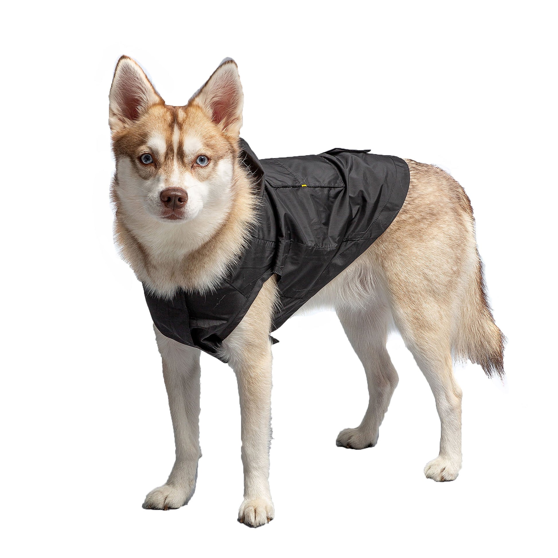 Us Army Packable Dog Raincoat Black Dog Apparel Premium Pet - detail view
