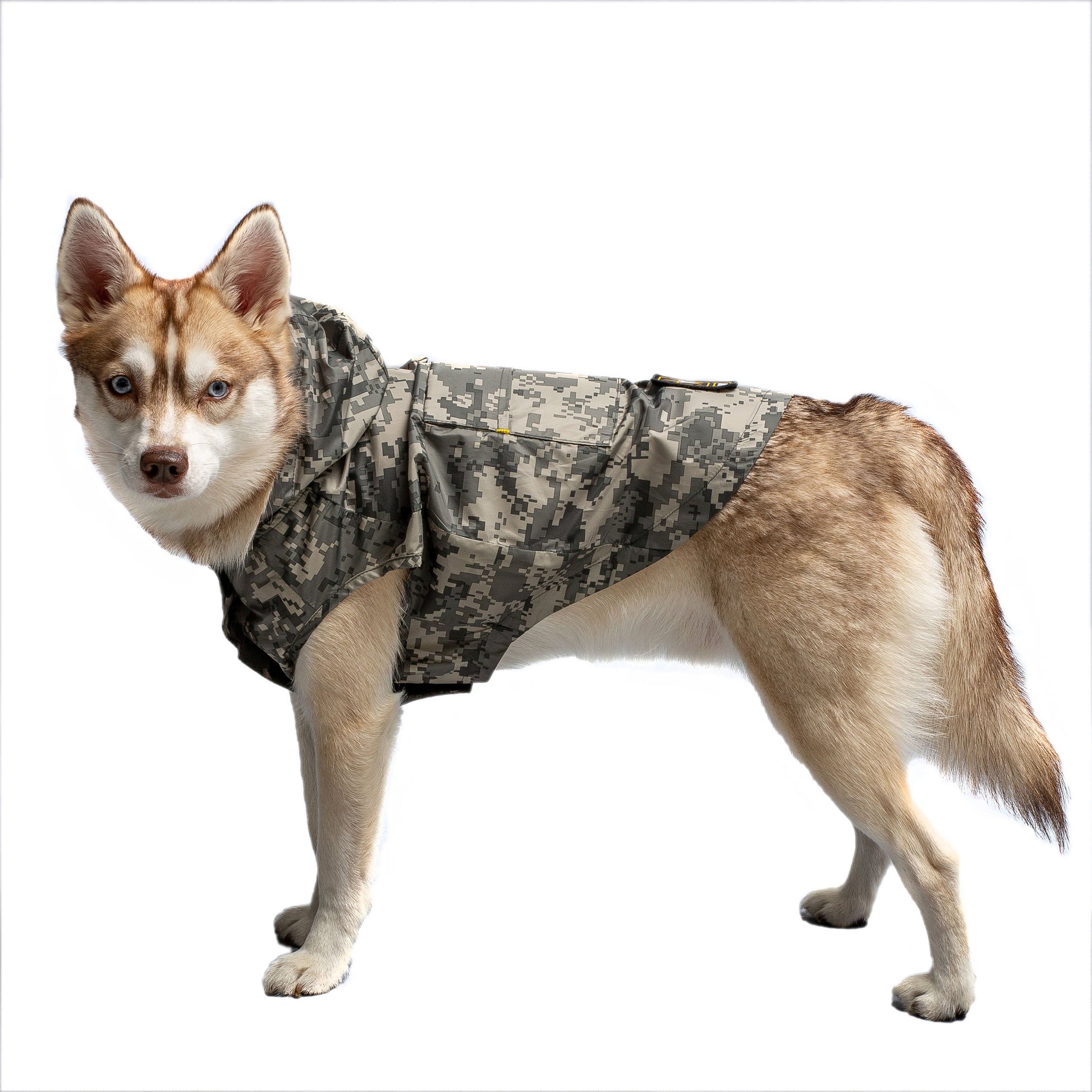 Us Army Packable Dog Raincoat Camo Dog Apparel Premium Pet - detail view