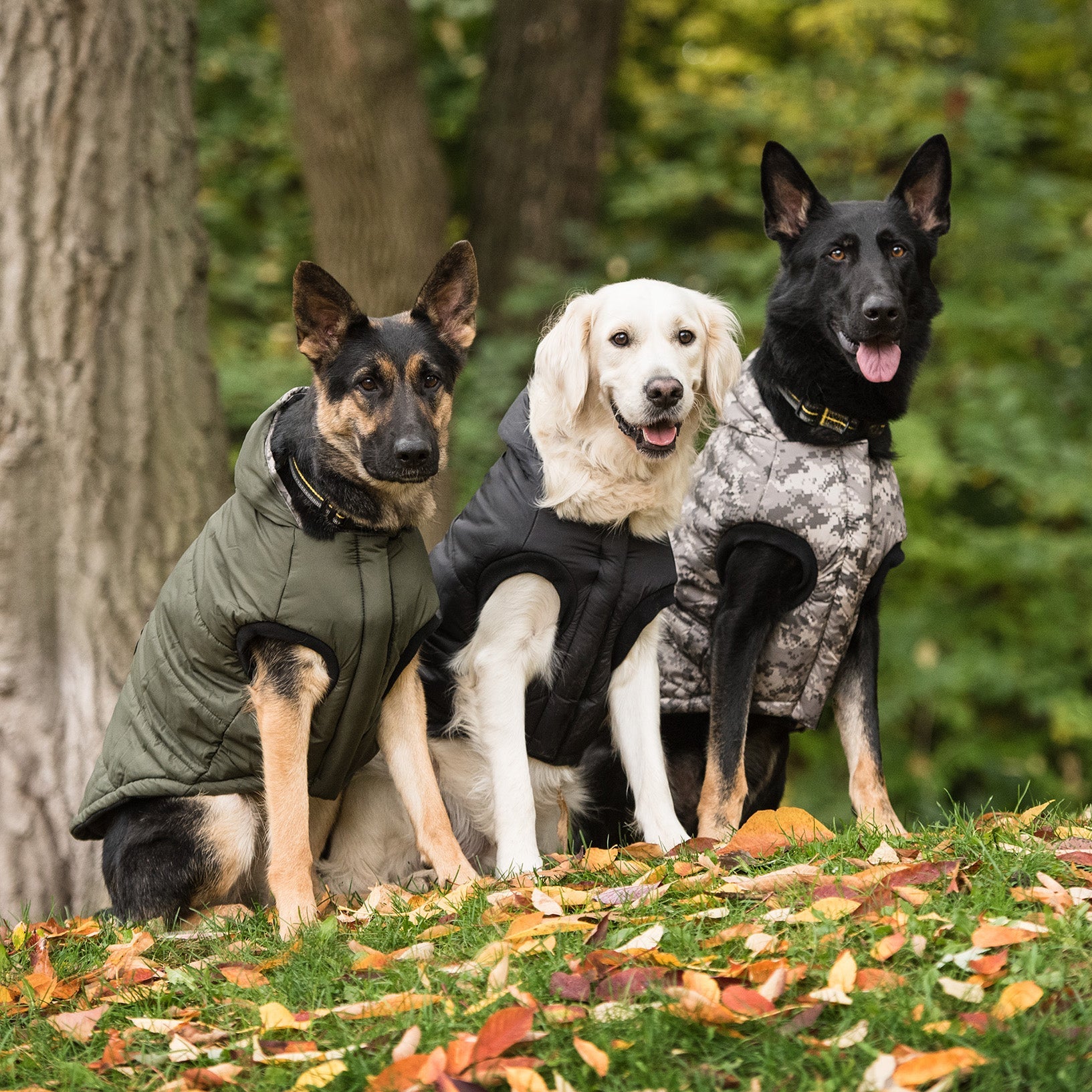 Dog Apparel Outdoor Comfort Adjustable Dark Camo Everyday - lifestyle view