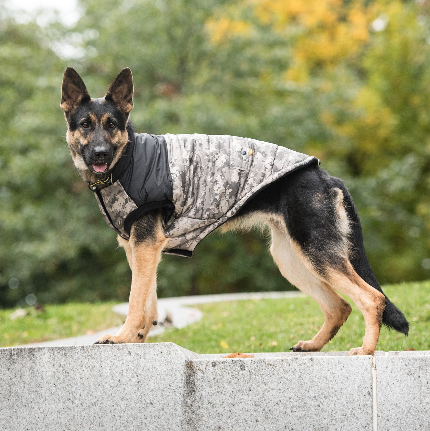 Us Army Dog Jacket Camo Dog Jackets Premium Pet Supply - detail view