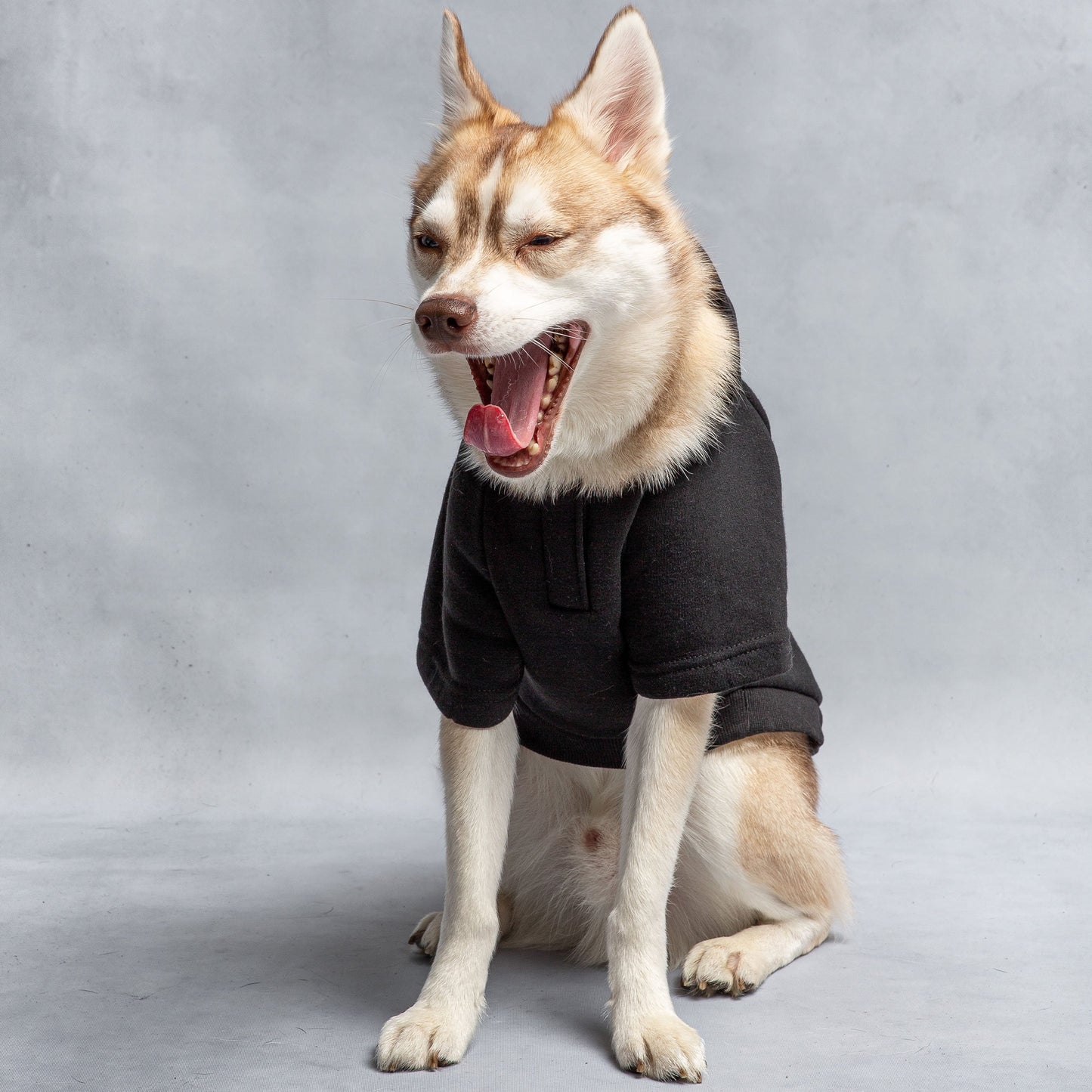 Us Army Hooded Dog Fleece Black Dog Apparel Premium Pet - lifestyle view