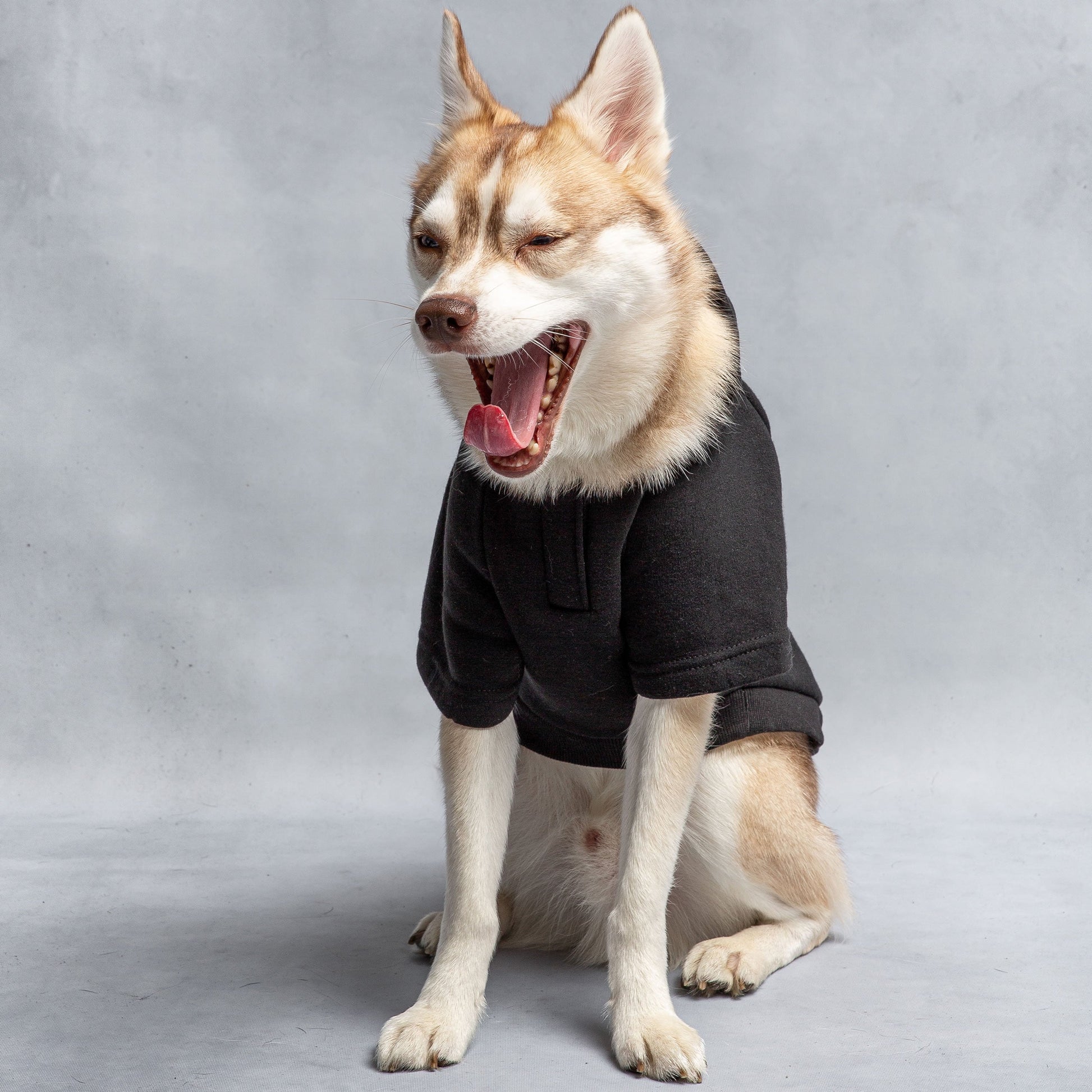 Us Army Hooded Dog Fleece Black Dog Apparel Premium Pet - lifestyle view