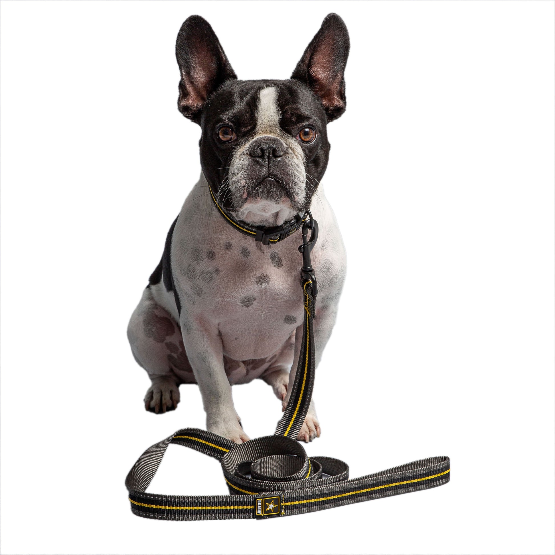 Dog Leash Durable Walking Lead Adjustable Dark Camo Premium - lifestyle view