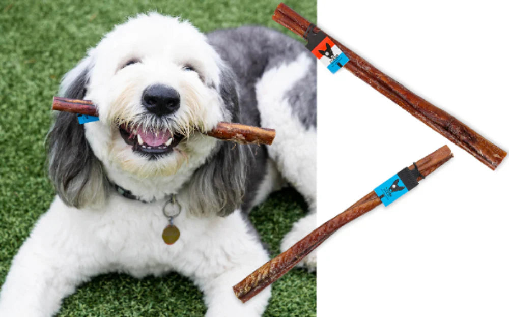 Stash Dog Monster Bully Sticks USA 12Inch Dog Treats Premium - lifestyle view