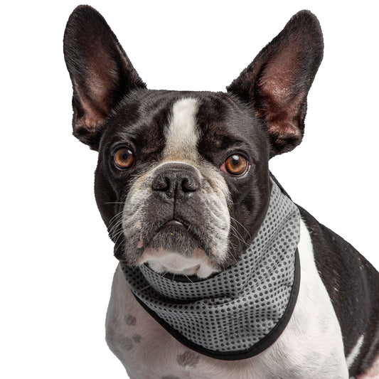 Dog Bandanas Adjustable Grey Premium Pet Supply Premium Pet - detail view