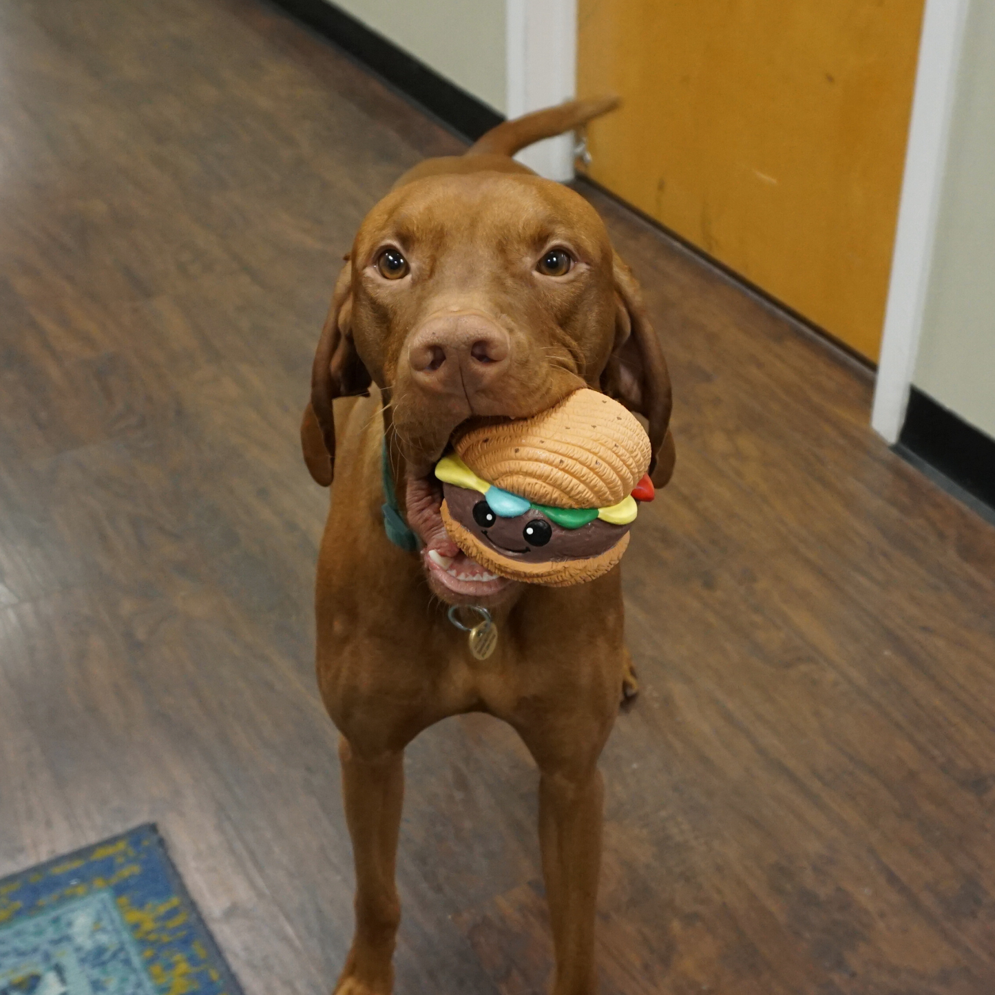 Dog Food Big Buns Foodies Hamburger Ruff-Tex Latex Ball Toy main product image for dogs and cats