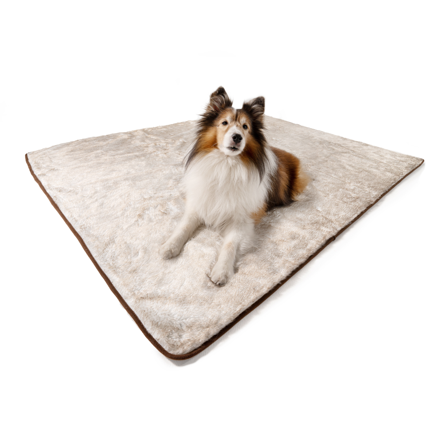 Pupprotector Summer Short Fur Waterproof Throw Blanket With - lifestyle view