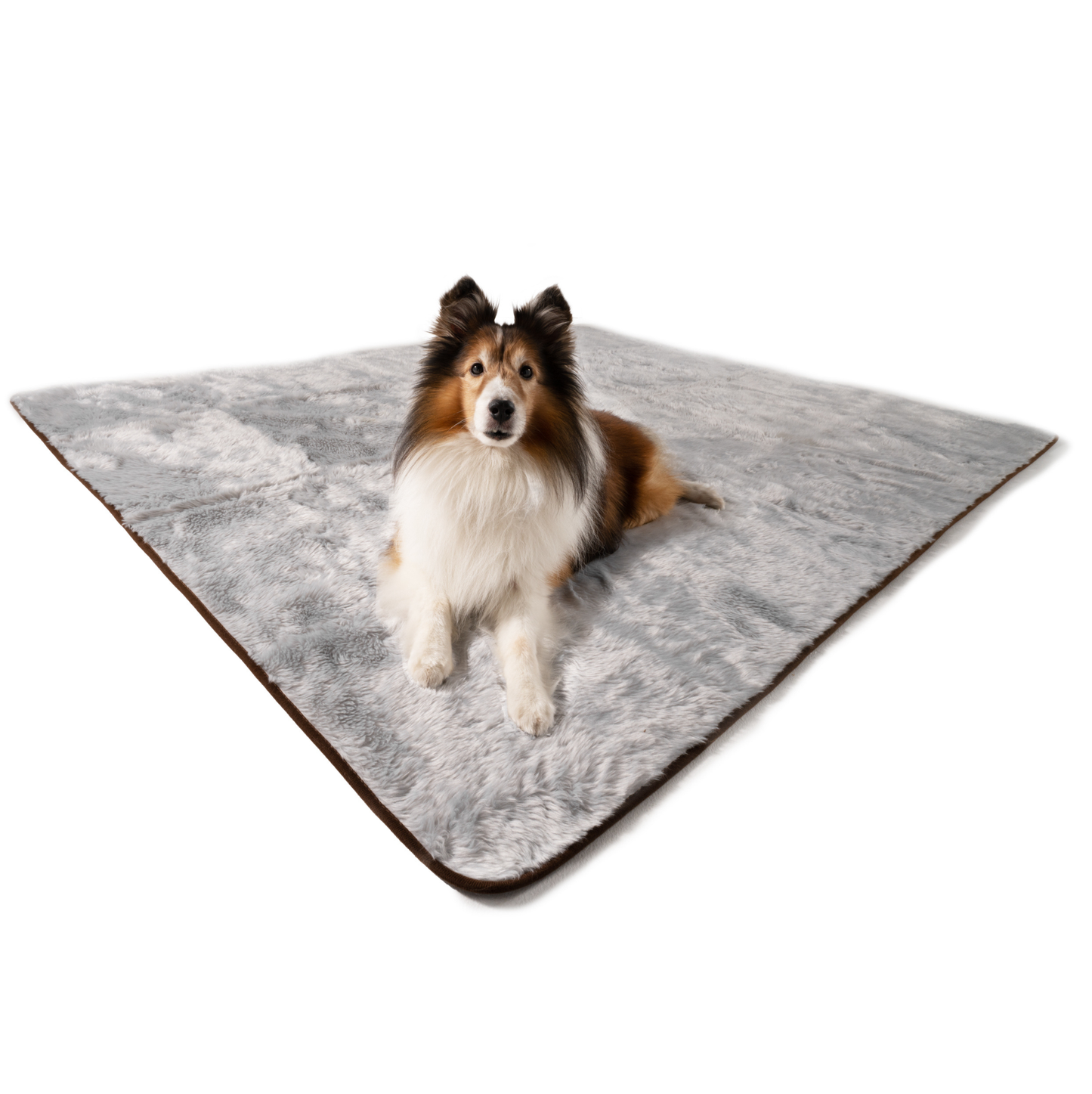 Waterproof Pet Blanket Soft Throw Grey Washable Cover Premiu - lifestyle view