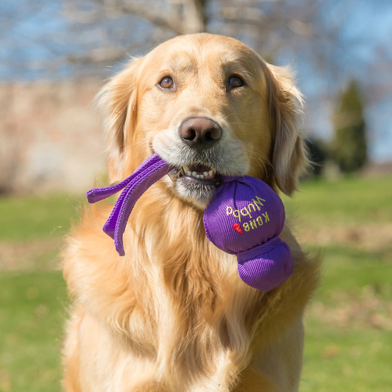 KONG Wubba Tug Dog Toy Durable Play - detail view