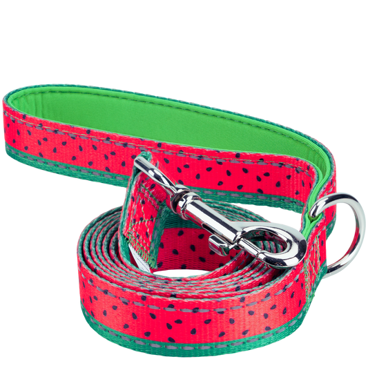 Dog Leash EcoBark Watermelon Leash- Padded Comfort Grip - main product image for dog leash