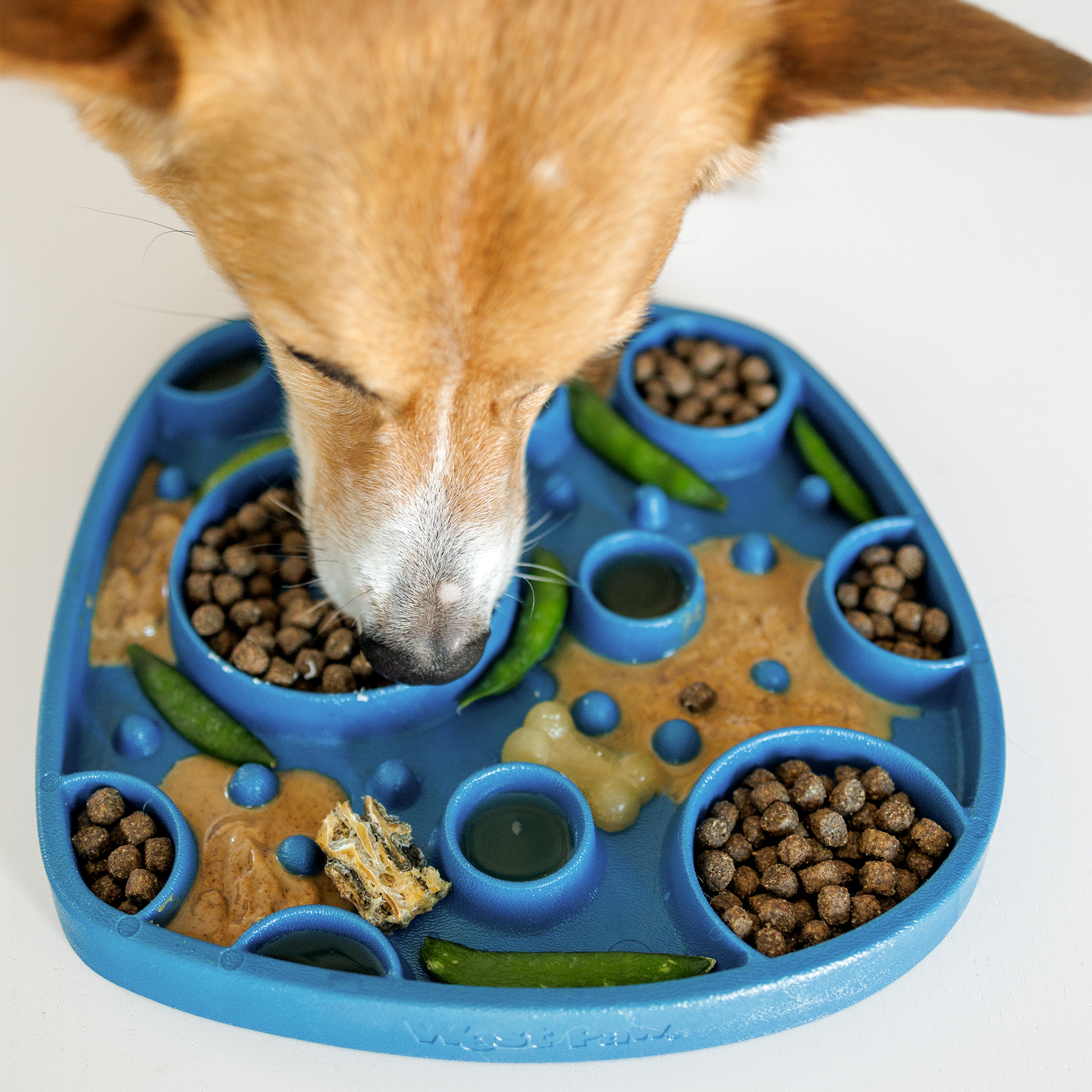 Slow Feeder Feast Mat Dog Enrichment Feeding System - lifestyle view